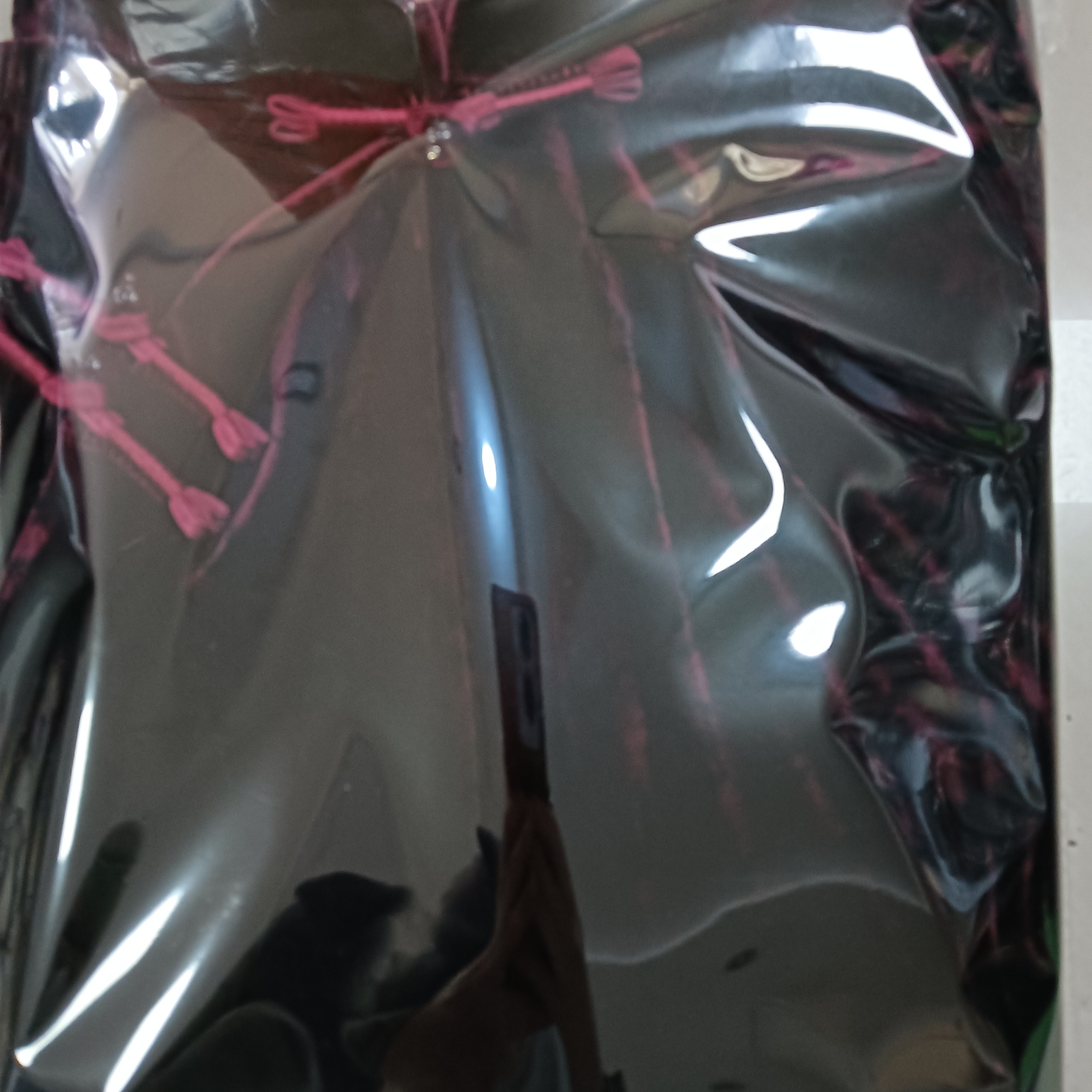 新款长袖暗红色印花小上衣