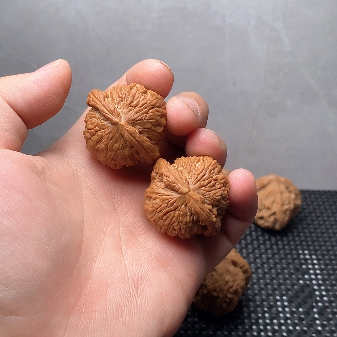 核桃手串/手链白狮子尺寸37