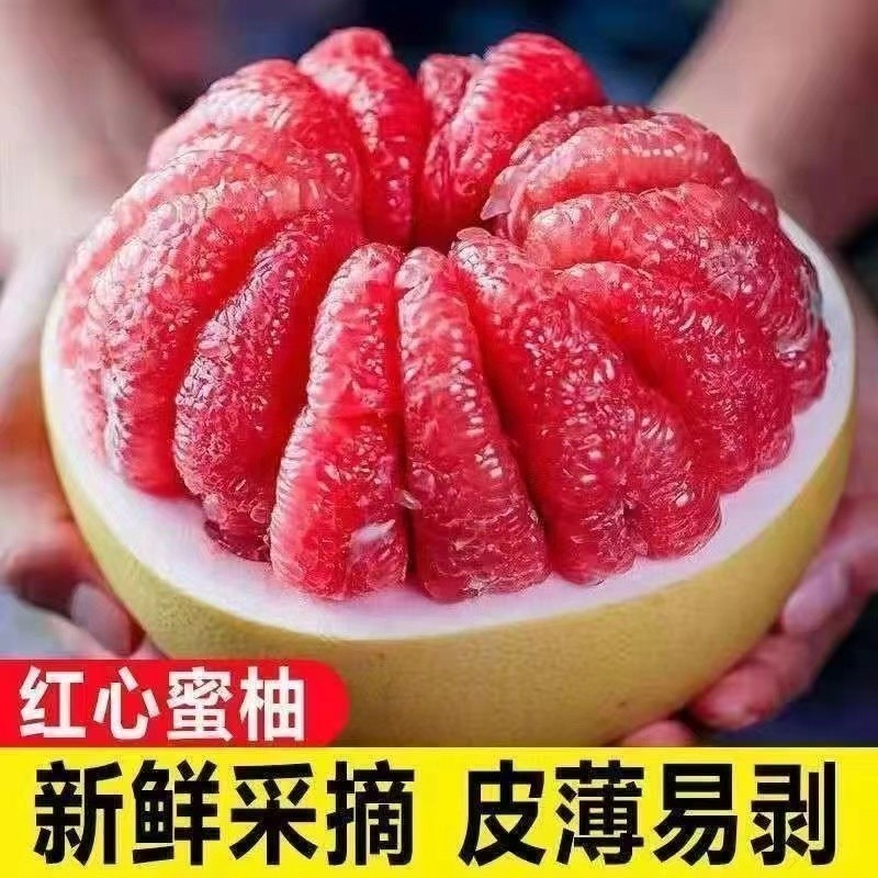 T【福建红心柚】2-4个正宗头茬老树红心柚子带箱5斤水果（现摘现发）