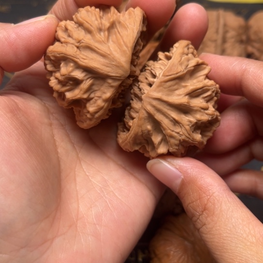 文玩把件帝王蛇47尺