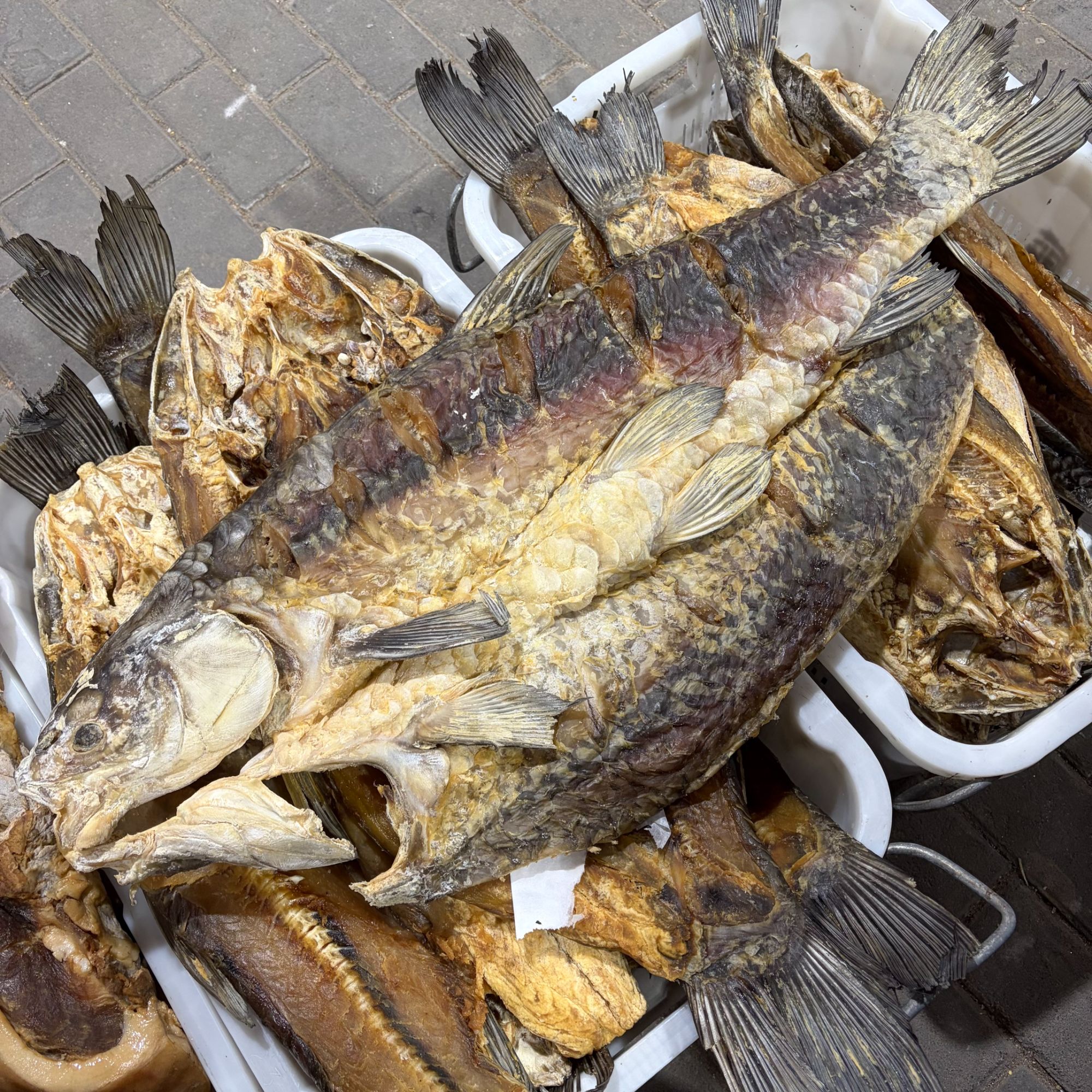 【燕儿谷专属】燕儿谷水库 风干腊青鱼 现场散称 1-100