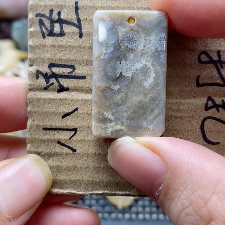 硅化珊瑚（珊瑚玉）颈饰未镶嵌