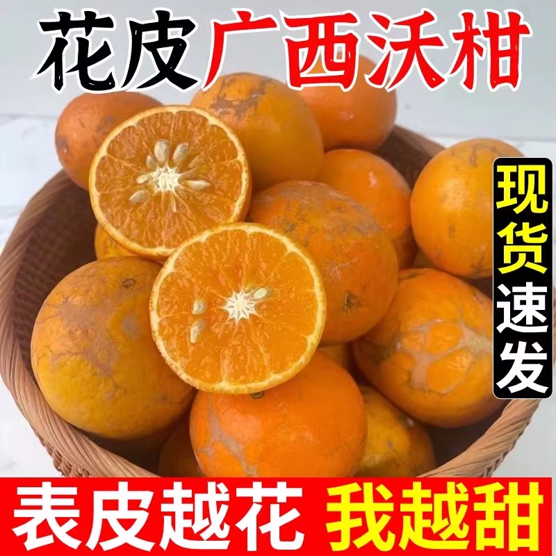 广西武鸣沃柑老树高糖花瓣果香甜多汁应季水果