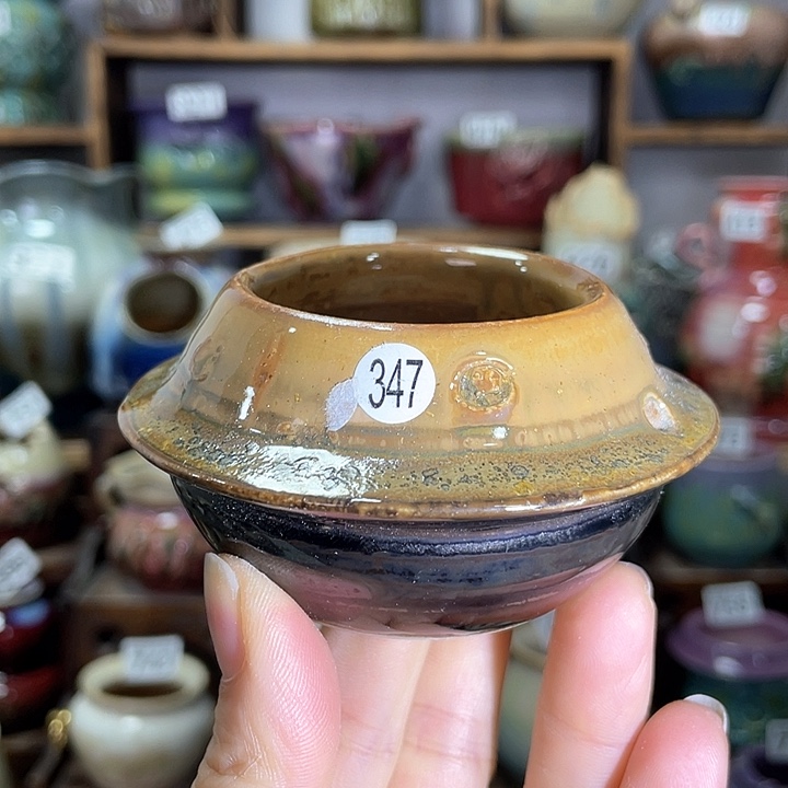 红陶内口径5高度6