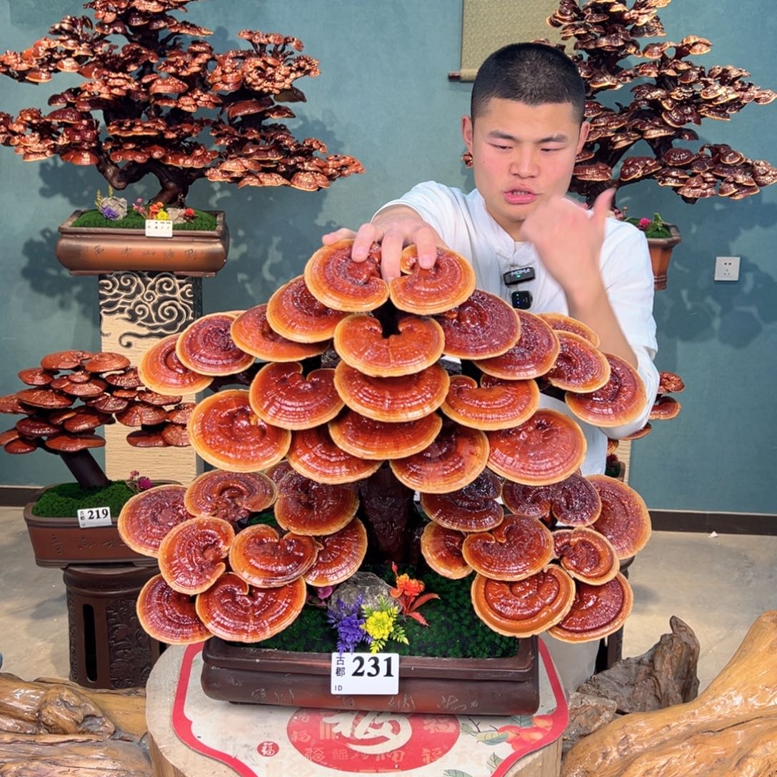无花朵88888888888