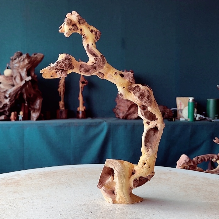 黑果木幸*人456金丝红木羊蹄甲半成品