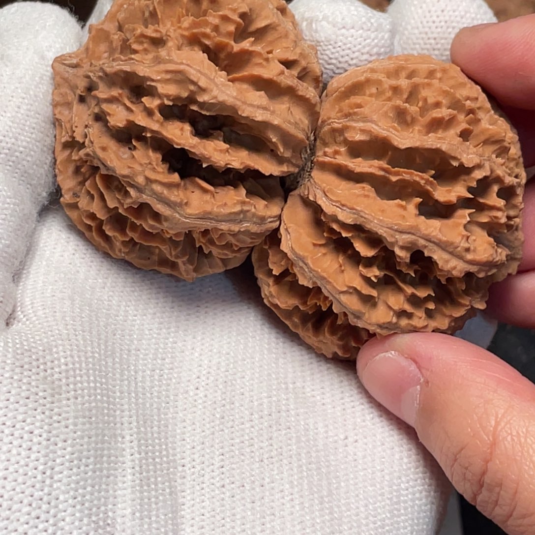 小***子吊坠桃核5 秦岭灯笼野生小众