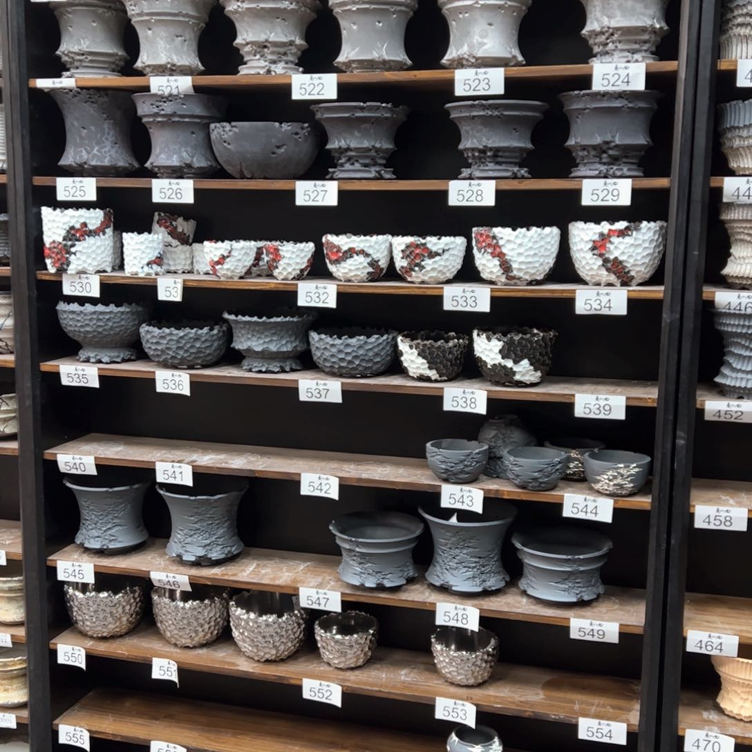 有喜欢的把编号打在公屏