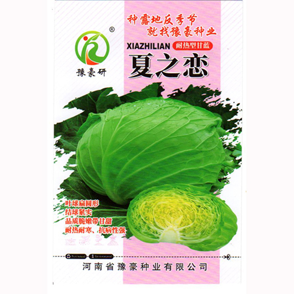 夏之恋甘蓝种子耐热耐寒高抗病扁球黄心口感脆嫩甘甜洋白菜包心菜