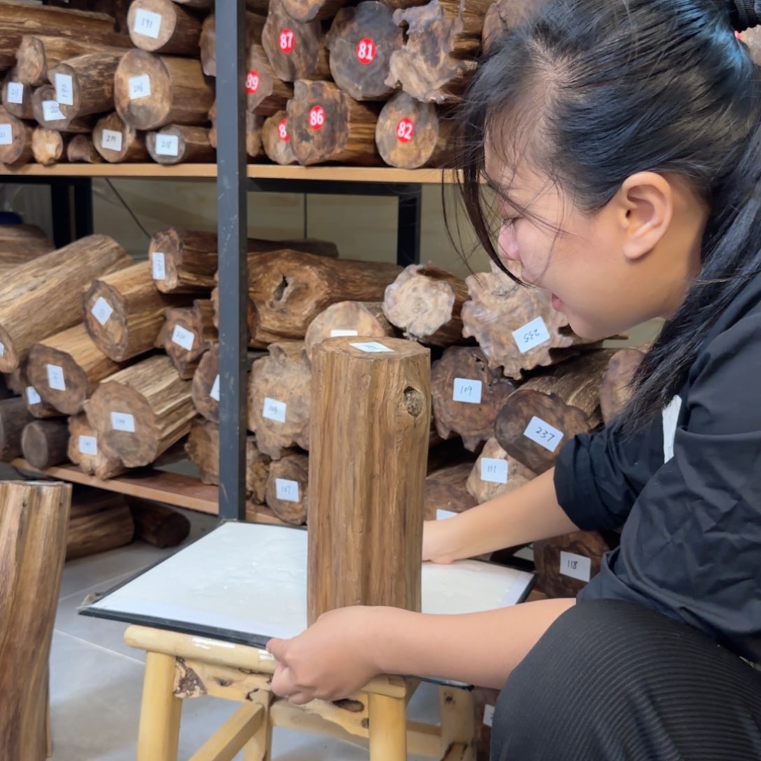 沉香沉香枕沉香多样性发一件46