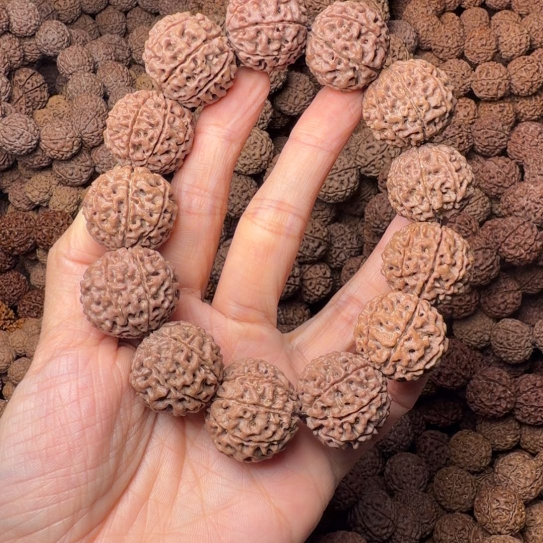 手串金刚菩提8瓣卡23尺，50号