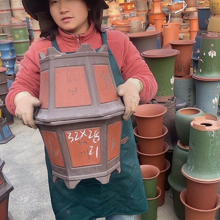 紫砂花盆盆栽花卉苗木种植