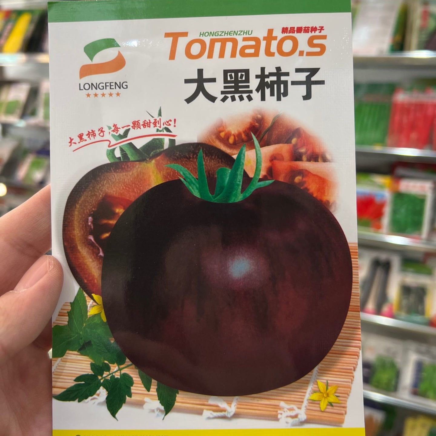 龙丰秋玉龙丰大黑柿子种子。