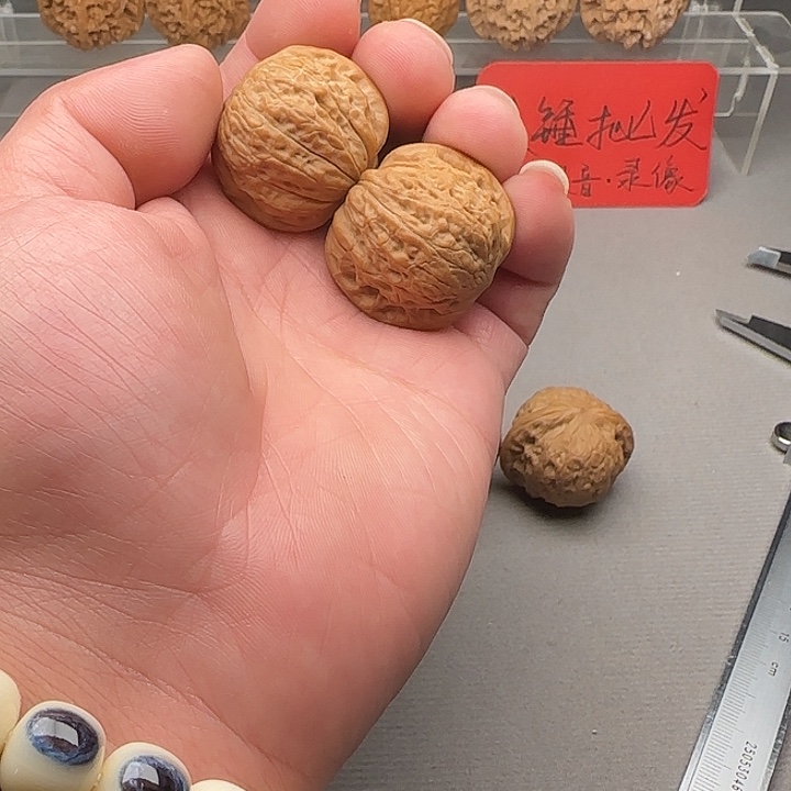 源***澈核桃铁锤妹妹文玩核桃