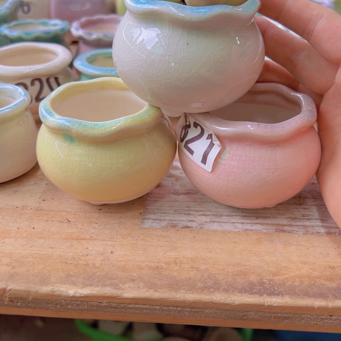 陶瓷花盆当场满12包邮