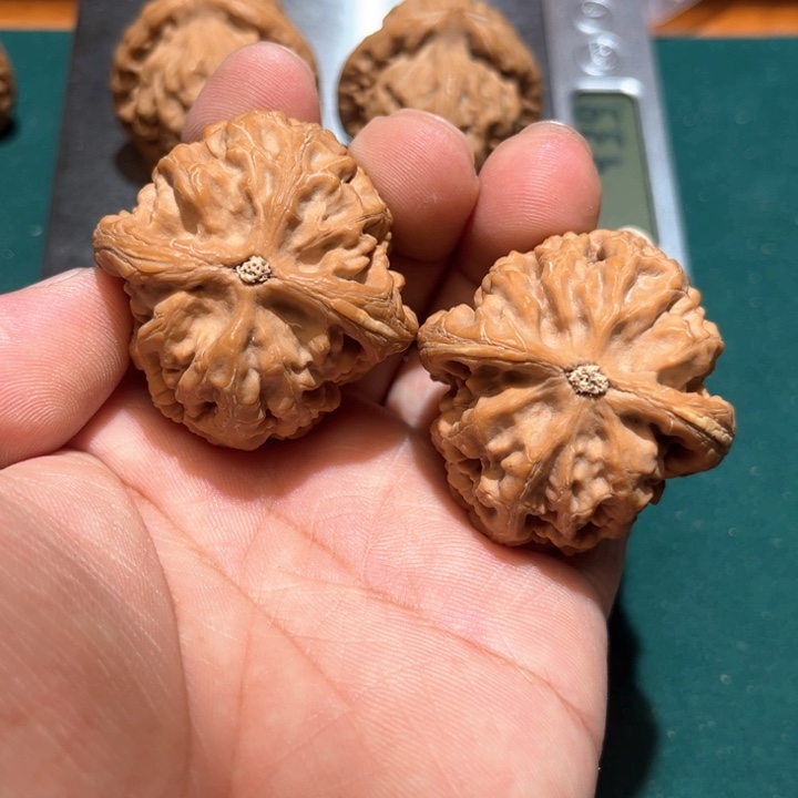 文玩核桃把件虔*文玩核桃说把件红锦鲤