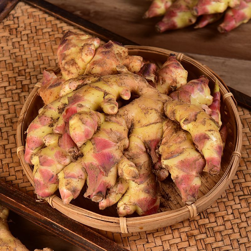 云南现挖小黄姜新鲜当季蔬菜可做泡姜味道浓郁