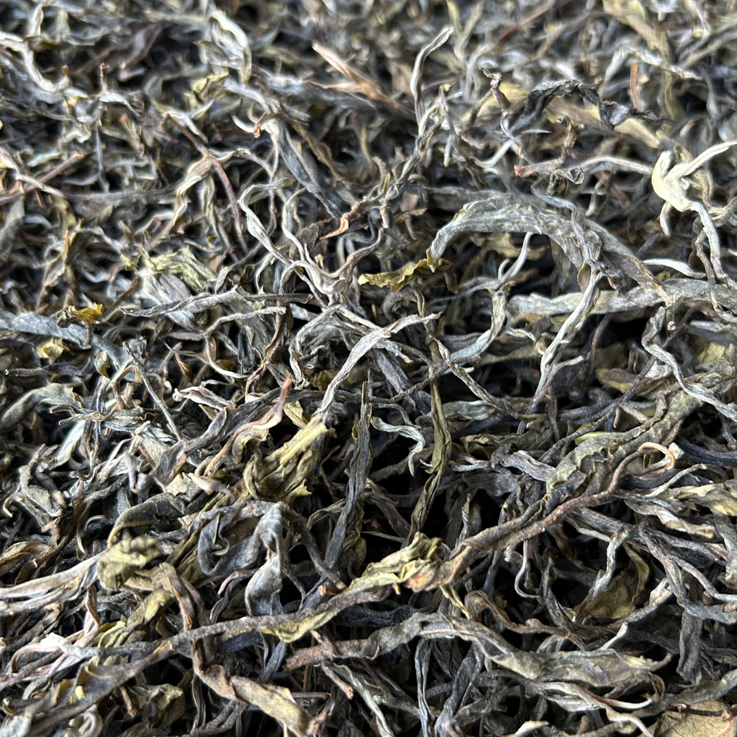 深山秘境茶区古树单株普洱茶生茶散茶250g