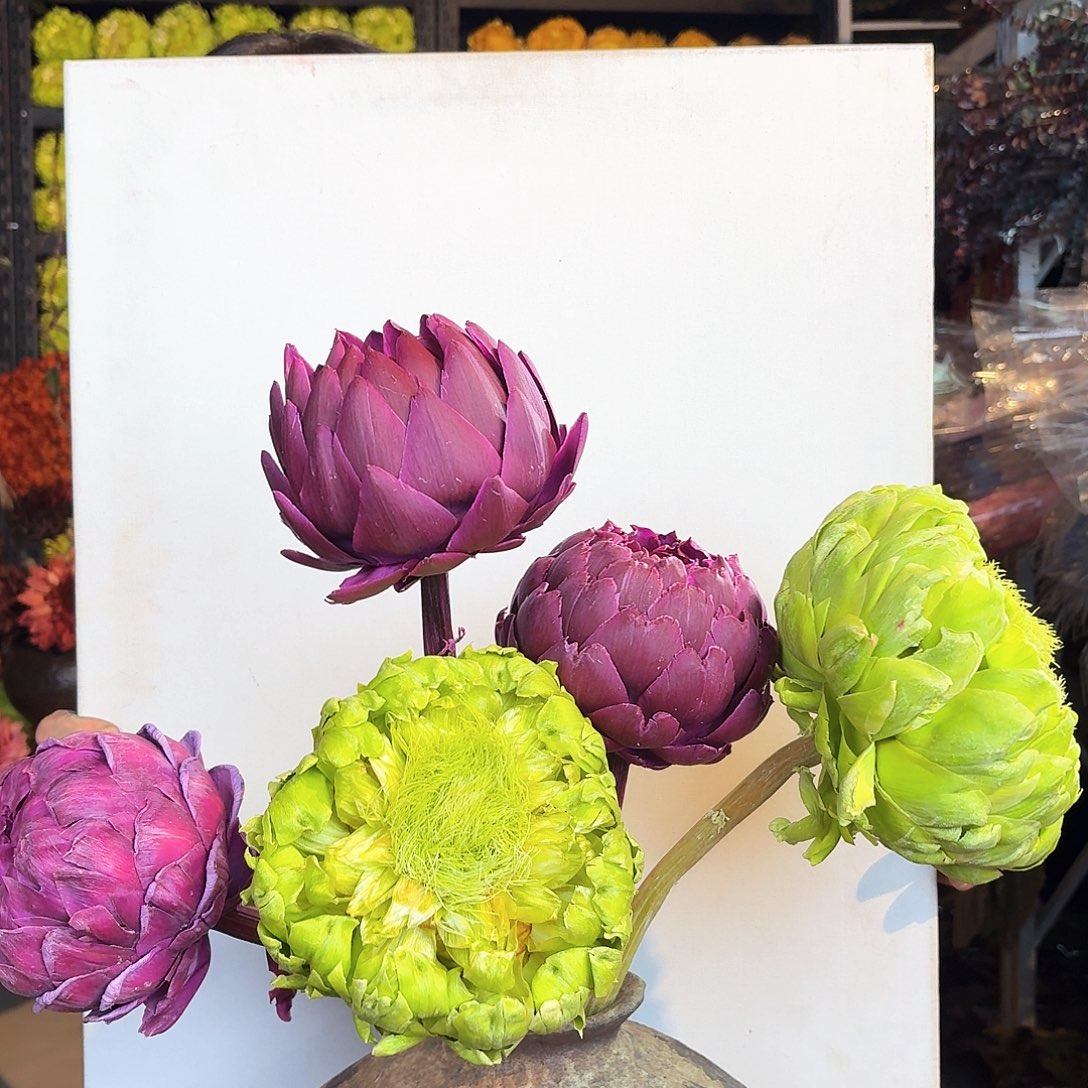 完全开放C96混色5枝