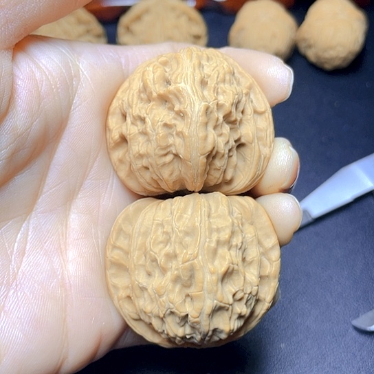 大叶紫檀（黑酸枝木类）吕****杰