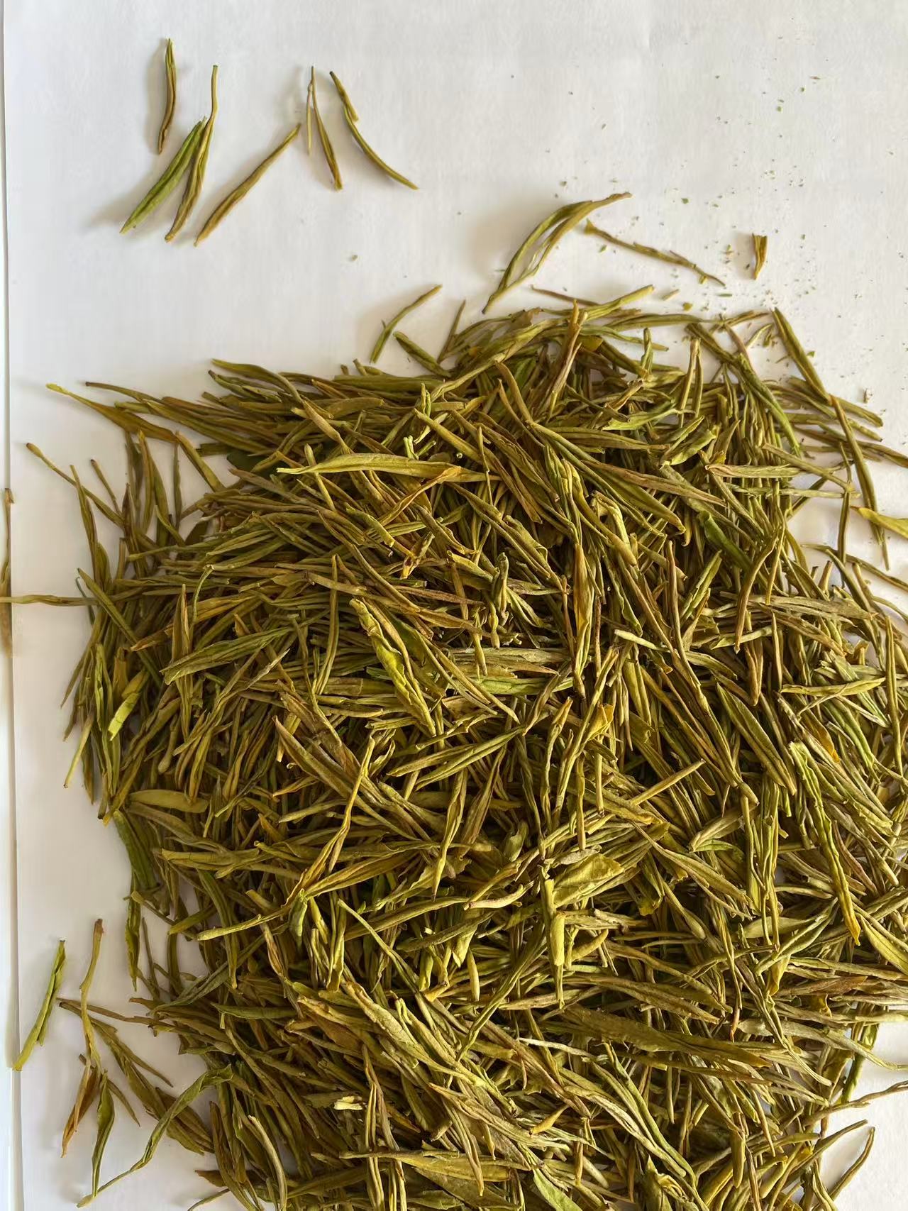 黄金芽一芽一两页花香果香豆香明前春茶浓香耐泡