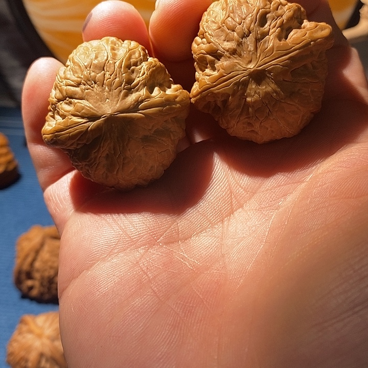 文玩核桃把件40铁锤，微修