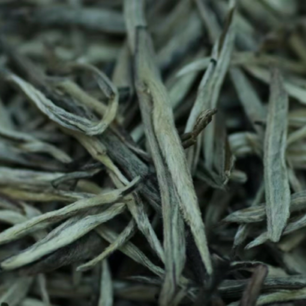 【凤庆沁福亭】2025年头春高香玉针 ——大叶种烘青绿茶 浓香型