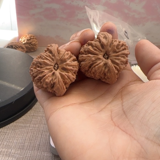 桃核吊坠是****狗核桃核桃