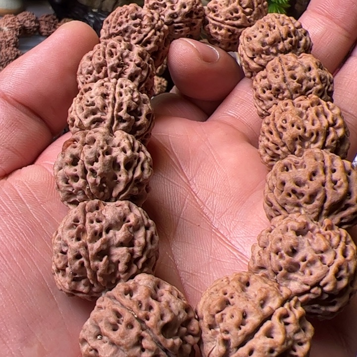 金刚菩提手串21➕雪山铁籽蜂王