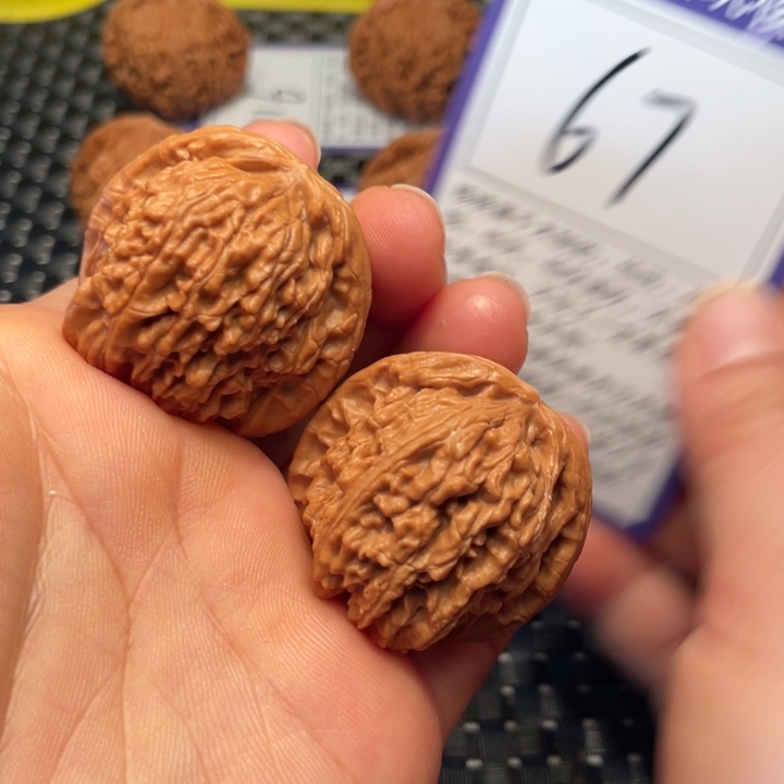 桃核把件36狮子67。。。。。。