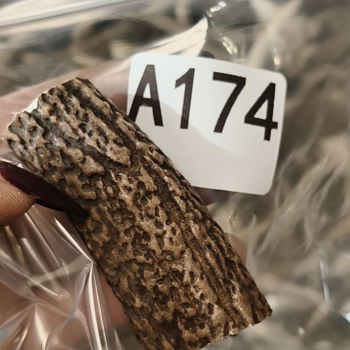 大***精鹿角鹿角鹿角鹿角鹿角