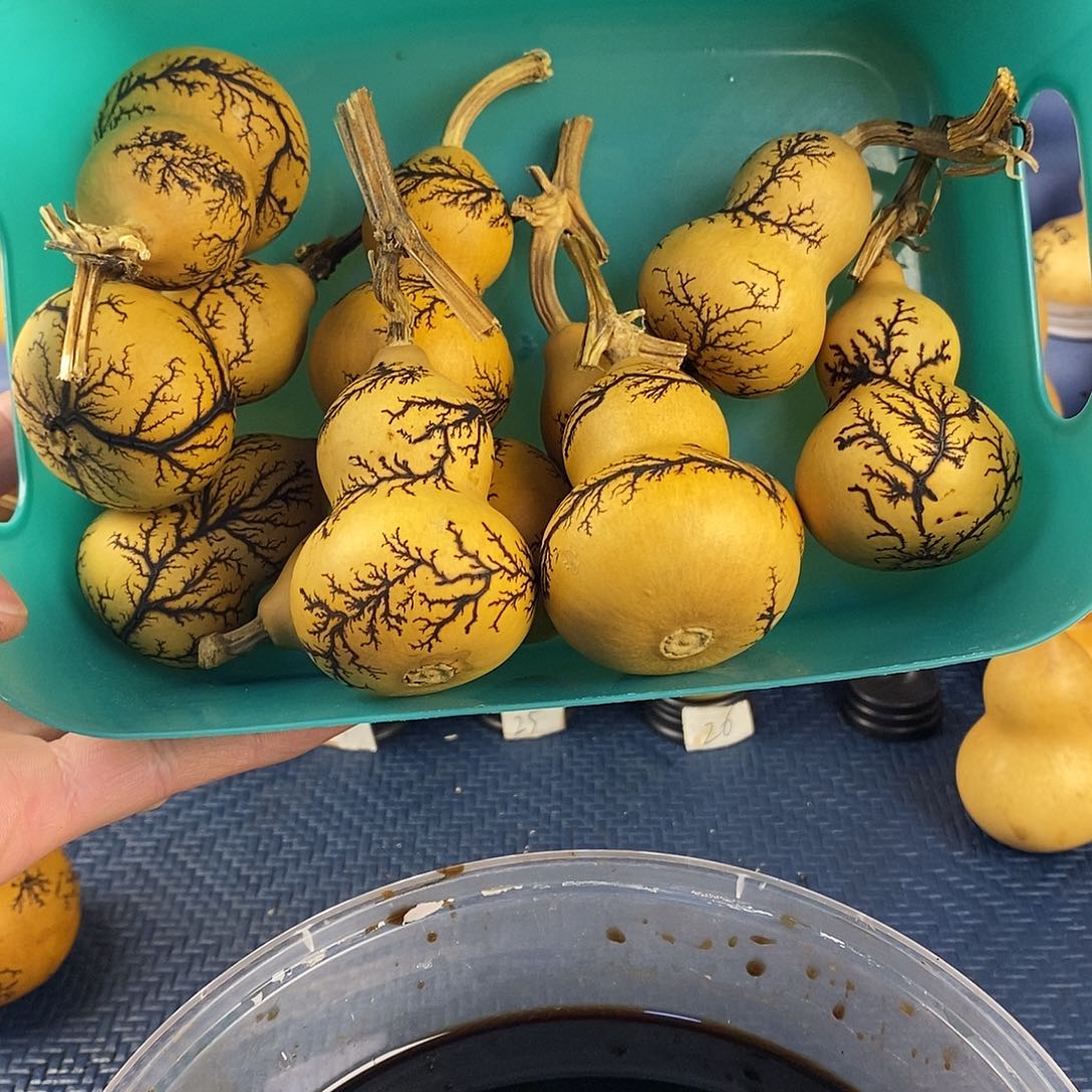 天***3一物一拍，所见即所得