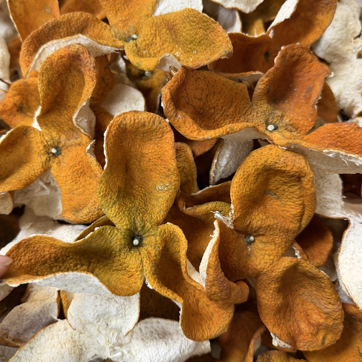 【狗腩皮南坦圈枝】新会南坦11-13年老树圈枝大红皮陈皮清甜清香