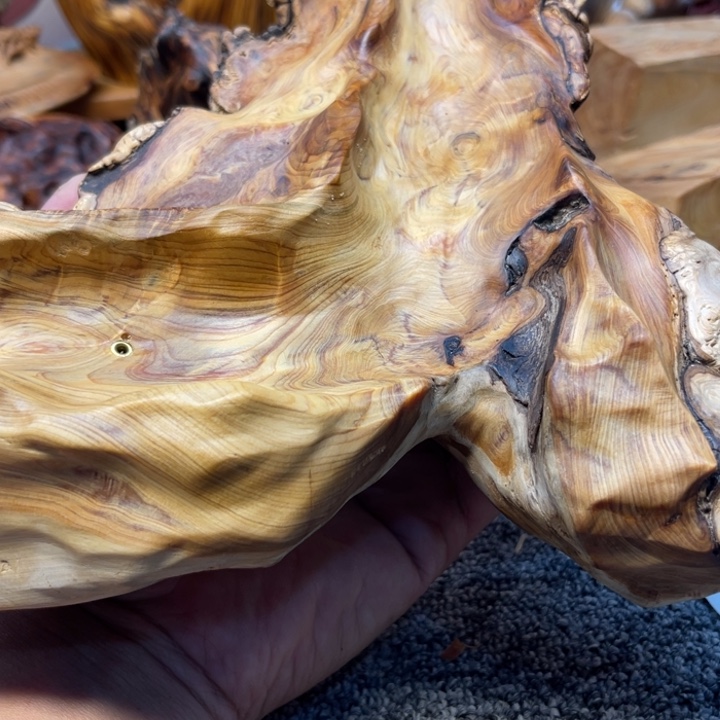 柏木（崖柏）崖柏52