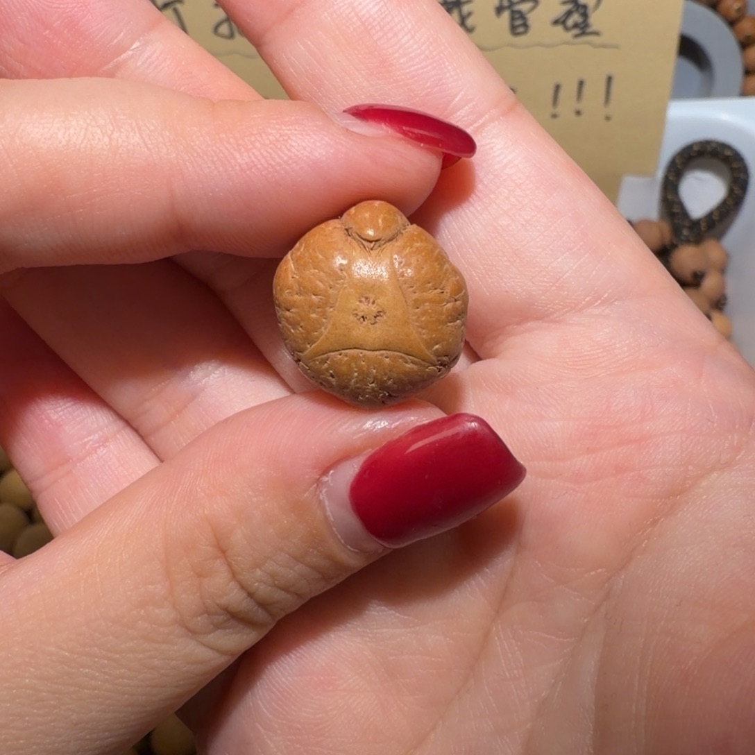 陈***圈吊坠凤眼菩提陈同学