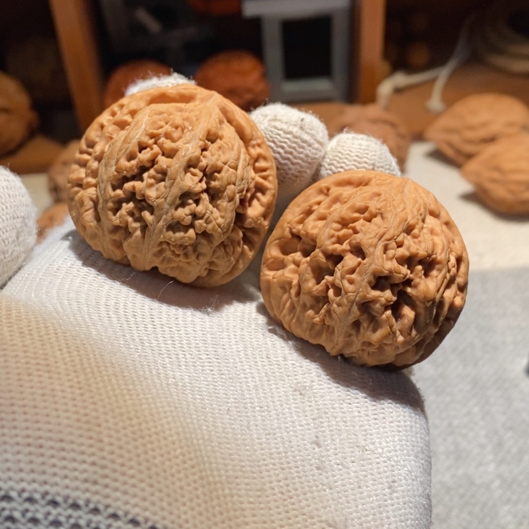 把件文玩核桃平谷大粗筋Cu44