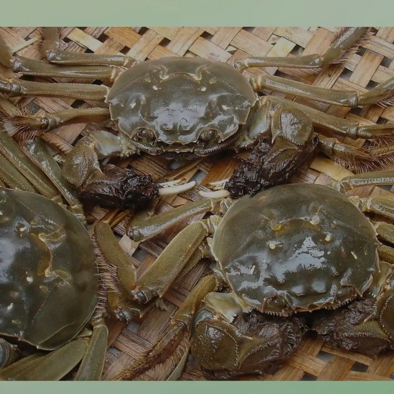 【活蟹】江苏高淳河蟹公蟹保活5斤20-25只（单只2.5-2.3两）