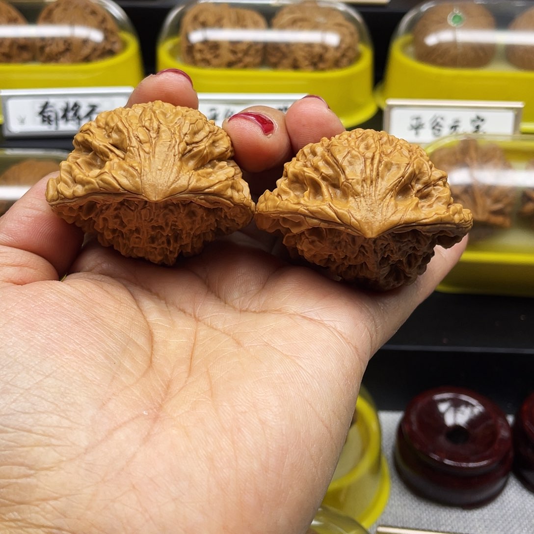 文玩核桃把件蛇头48尺寸