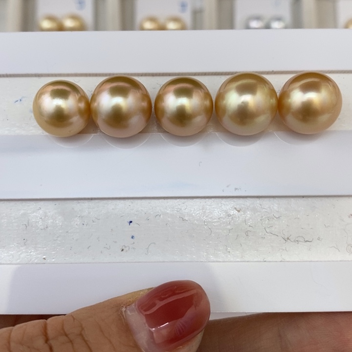 海水珍珠裸珠朱*鱼