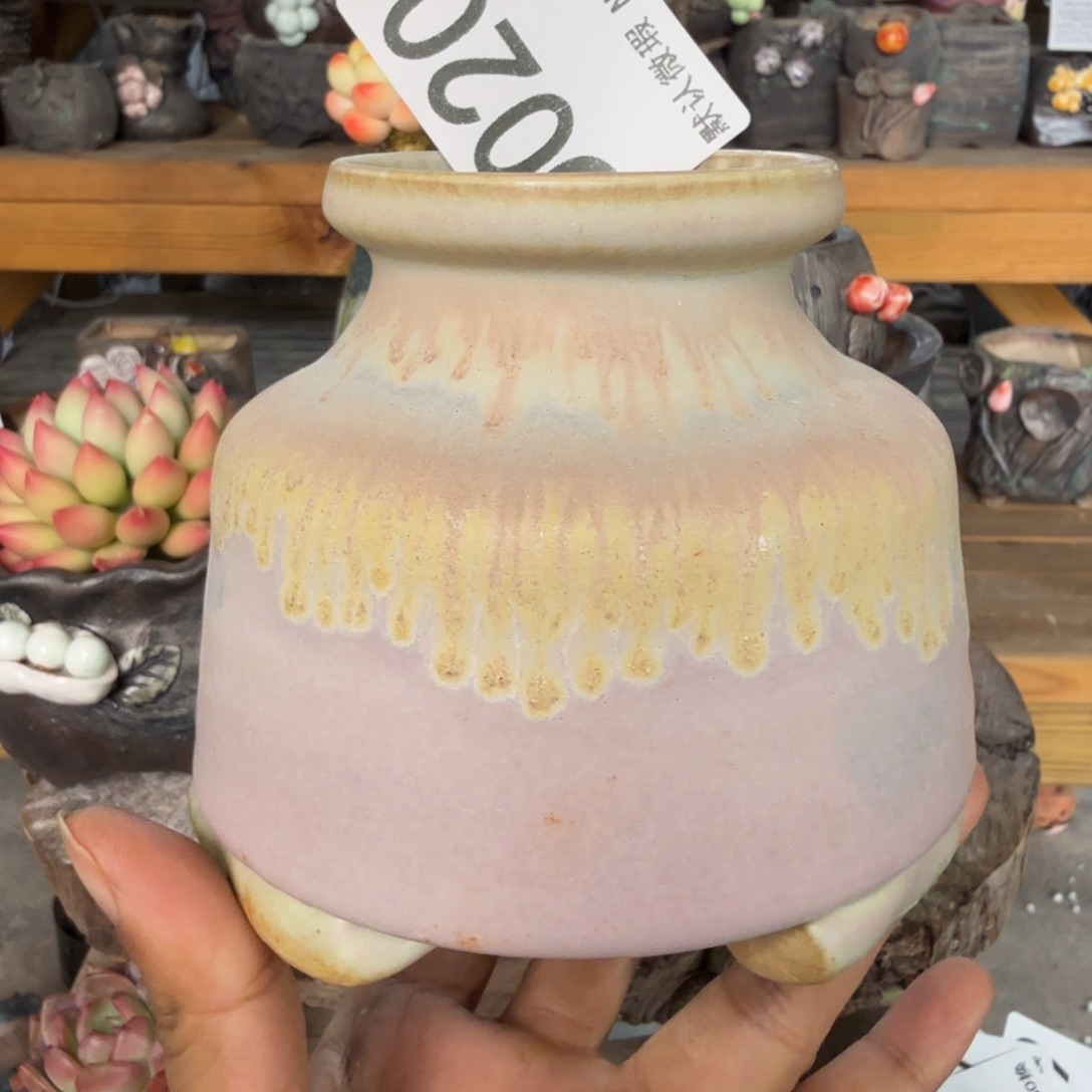 重庆小燕子欢迎大家020