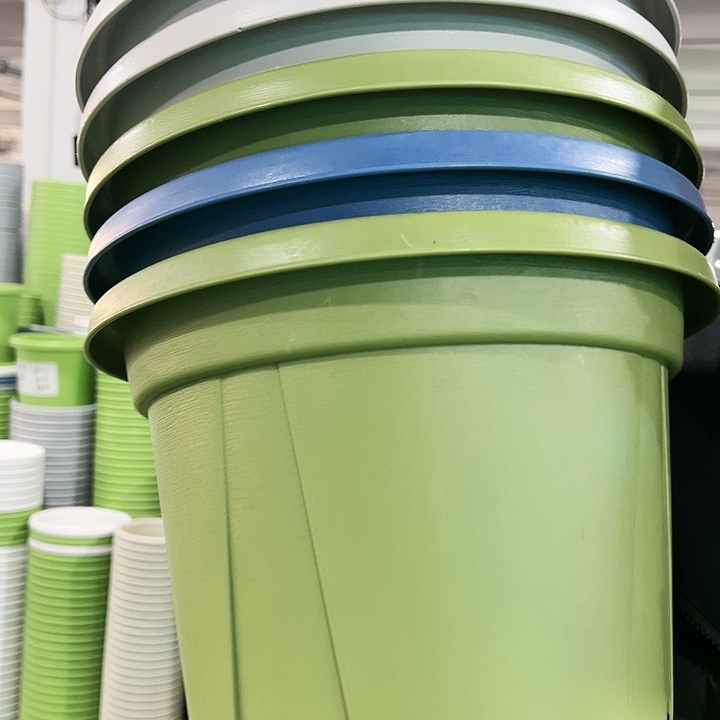 正品青山口32高28果绿色5个无托