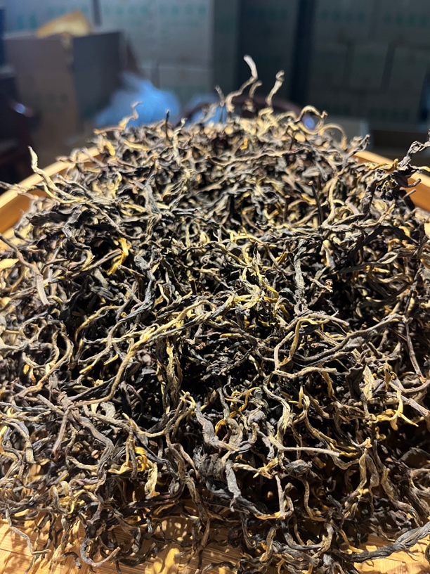 2025荒山古树晒红散茶
