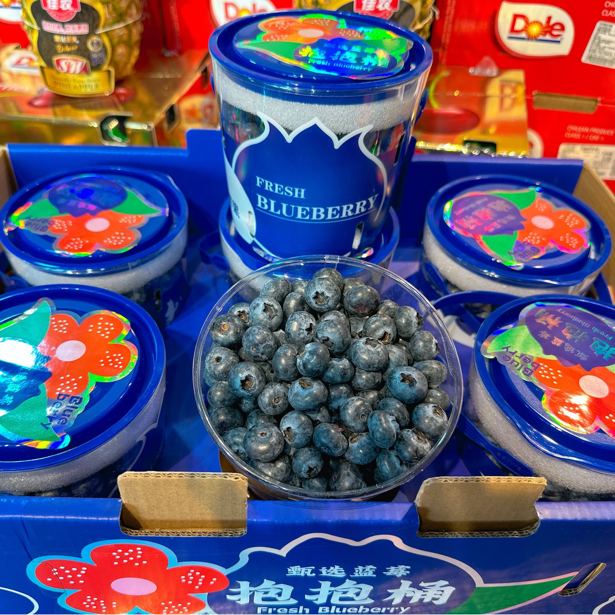 【产地直采】蓝莓15+抱抱桶一份云南省