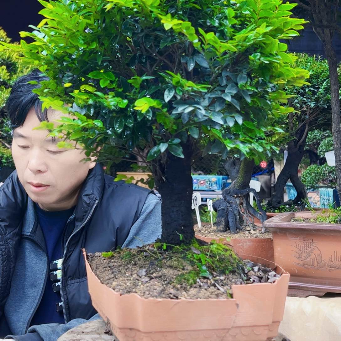 以实际为准悦*12345679