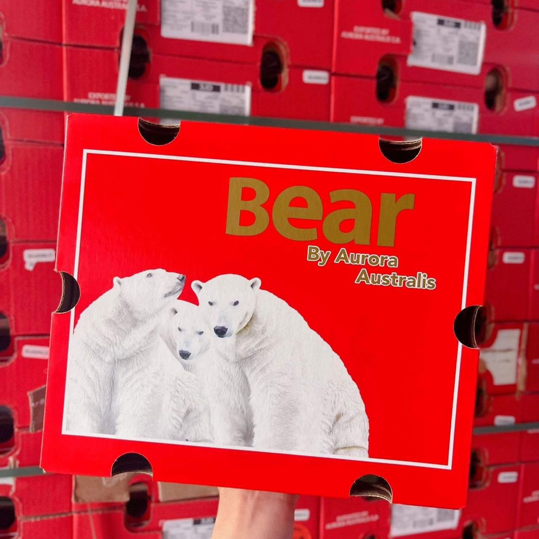 冰熊牌 海运智利进口车厘子3J（内附果径卡）