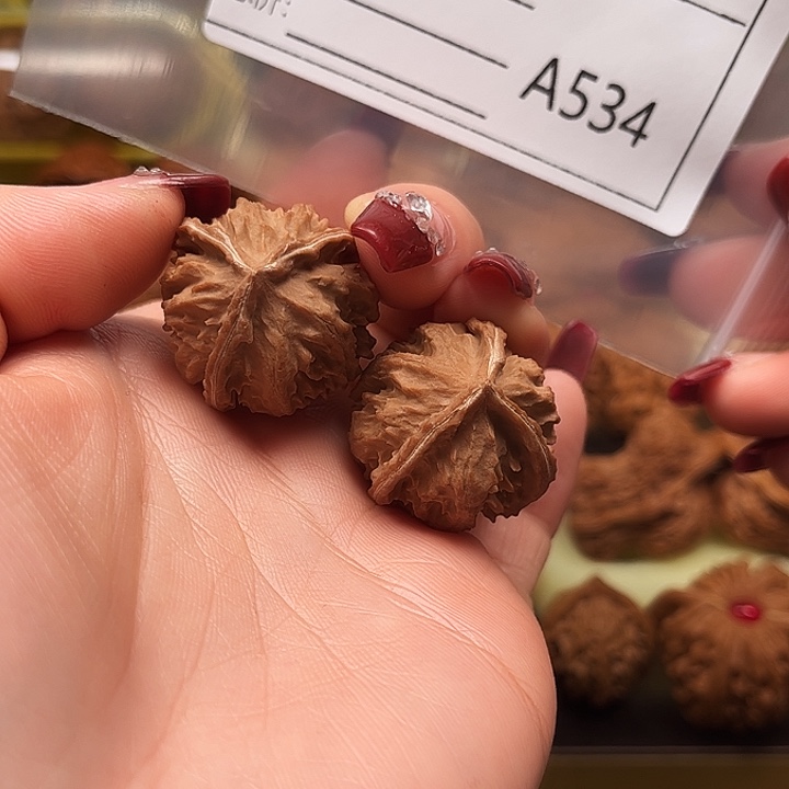 文玩核桃把件ton x y x y