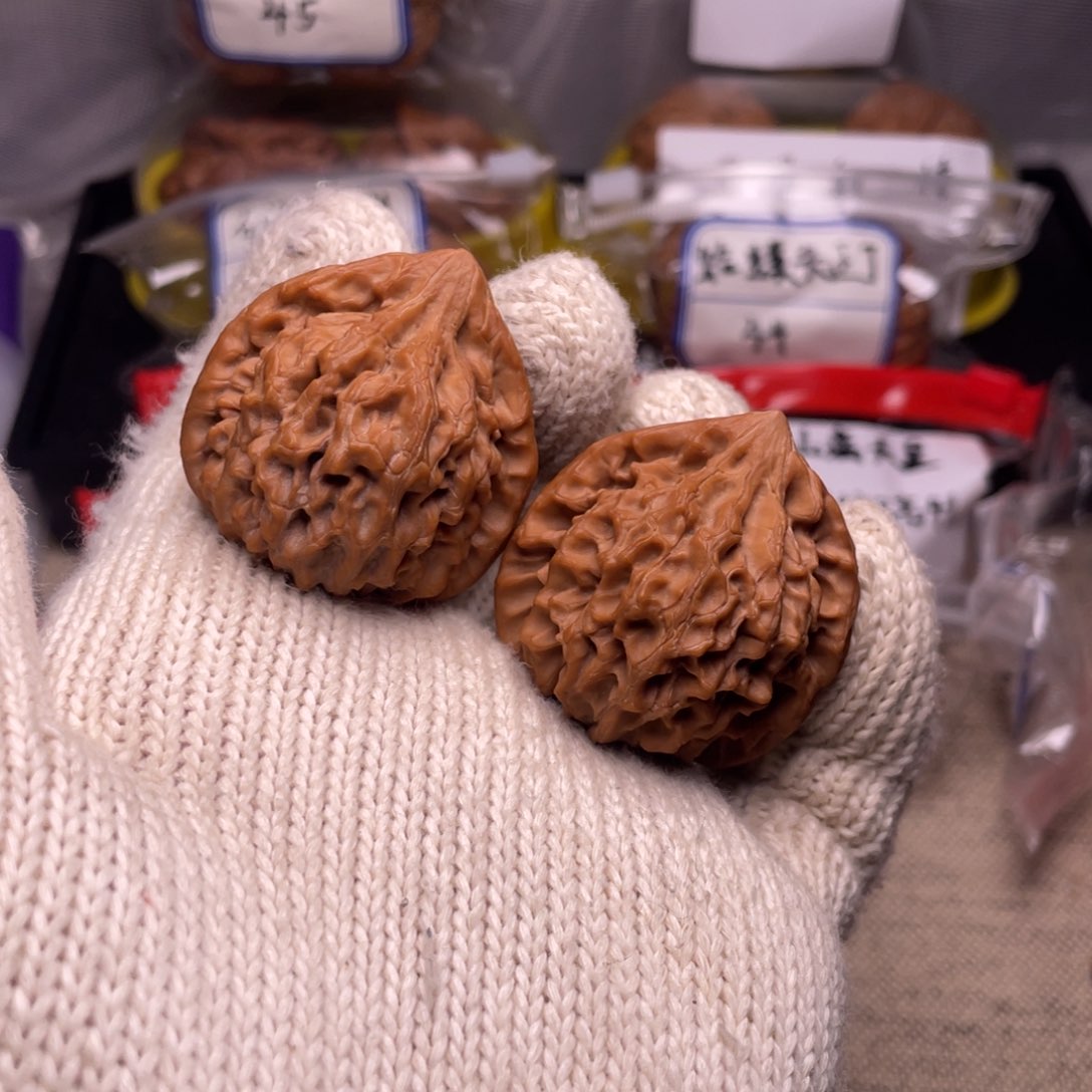 向**炮39全品龙门涧！！！！！！！！！！