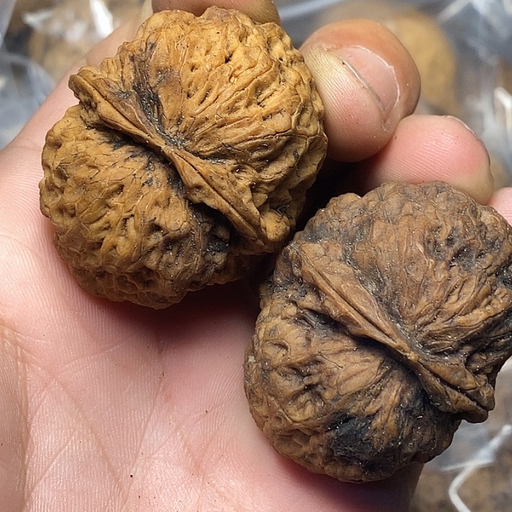 把件文玩核桃云南铁核桃B40