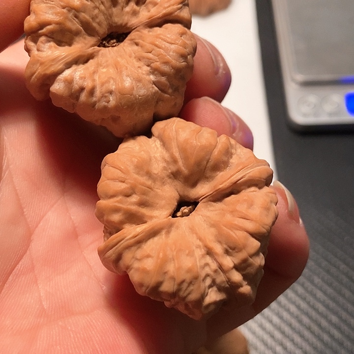 文玩核桃吊坠御*蛤蟆