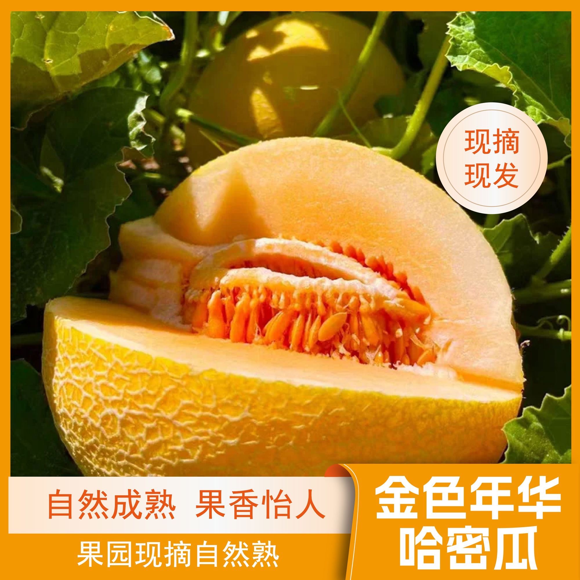 正宗新疆火焰山黄金哈蜜瓜金色年华哈密瓜当季新鲜水果